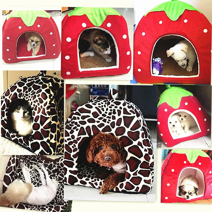 Casinha para Pets Estilo Morango e Girafa