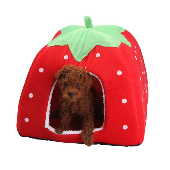 Casinha para Pets Estilo Morango e Girafa