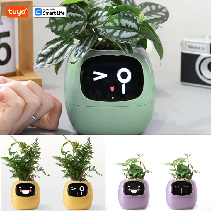 Vaso Inteligente com Expressões Digitais - Cuide das Suas Plantas com Estilo